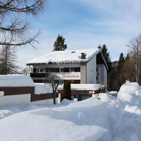 Apartment Am Birkenhain-3 Seefeld in Tirol